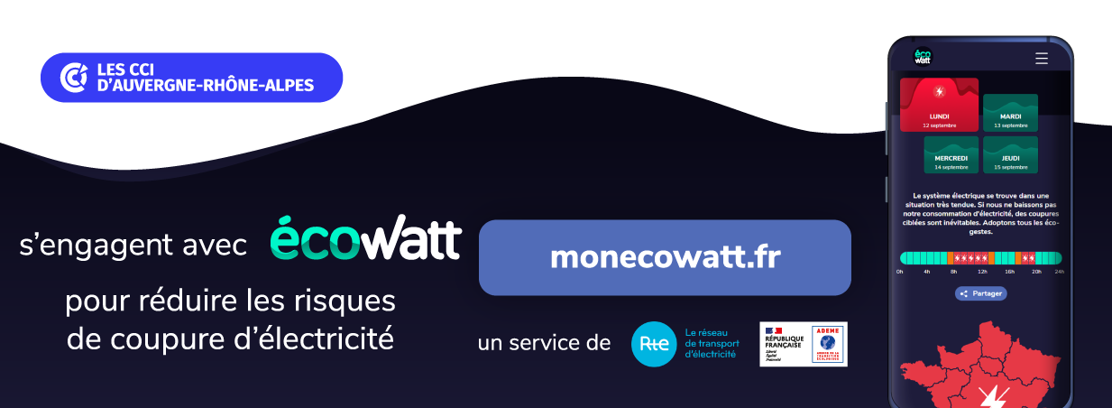 Ecowatt