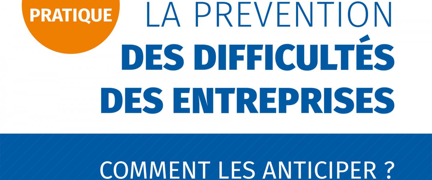 Guide pratique des difficultés des entreprises