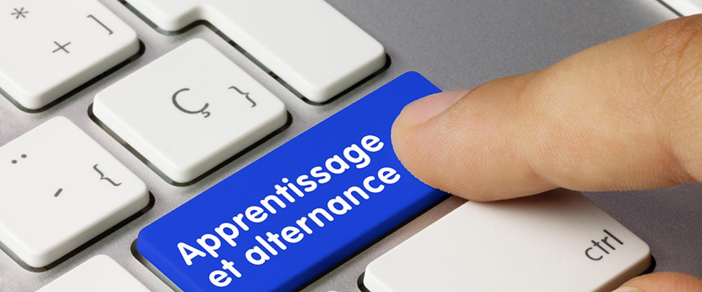 apprentissage alternance