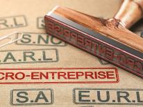 MICROENTREPRISE