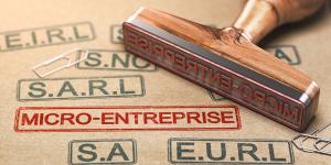 MICROENTREPRISE