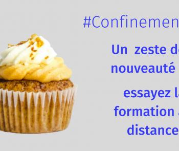 Zeste formation special covid19