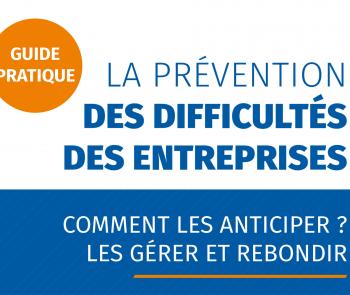 Guide pratique des difficultés des entreprises