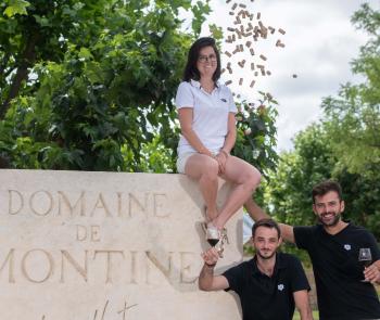 Domaine de Montine