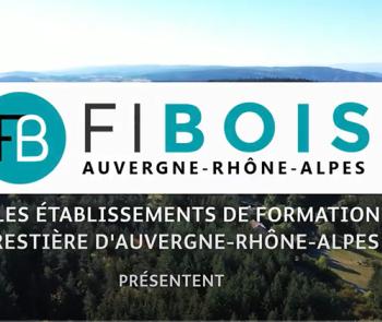 fibois