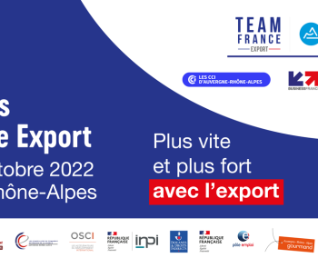 Team export