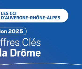 chiffres cles 2025